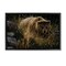 Stupell Industries Crossing Paths Grizzly Bear Floating Frame, design by Collin Bogle